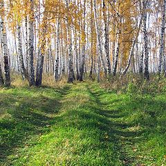 фото "два осенних цвета"