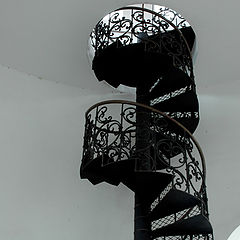 фото "spiral staircase"