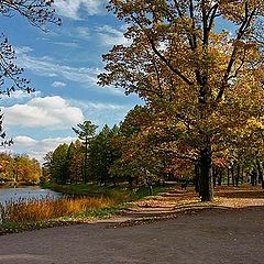 photo "The Golden Autumn In Pushkin 3"