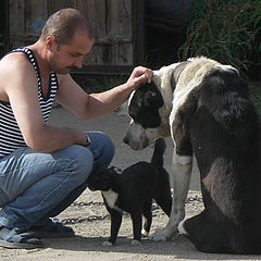 photo "Three comrades."