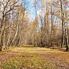 фото "Осенний воздух"