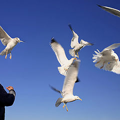 photo "She talks to angels..."