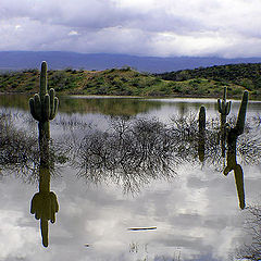 photo "Last Stand of the Old Soldiers"