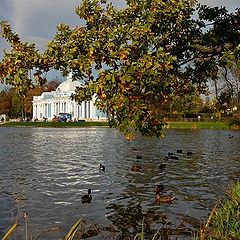 photo "The Golden Autumn In Pushkin 4"