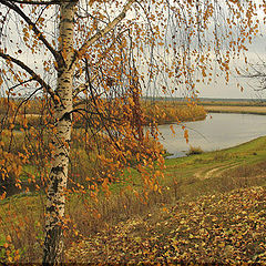 photo "Autumn on Berezina."