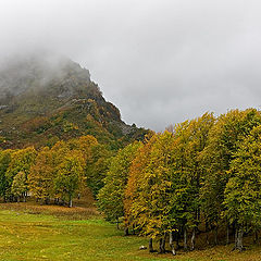 photo "Autumn in mountain"