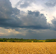 photo "Russian open spaces..."