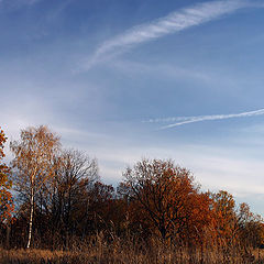 photo "Autumn into Abramtsevo (cont.)"