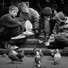 photo "To feed pigeons ..."