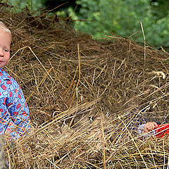 photo "Hayloft #2"