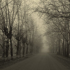 photo "Gloomy road"