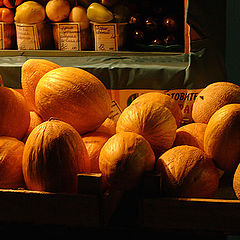 photo "Night Melons"