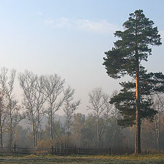 фото "Ранним осенним утром"