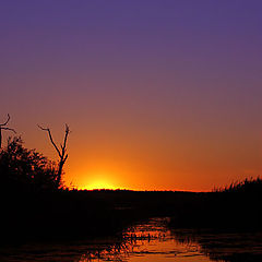 photo "Mystical sunset..."