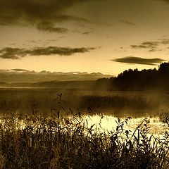 photo "Mist and moon"