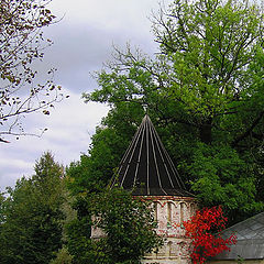 фото "Red tree"