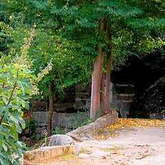 фото "Way to the fountain"