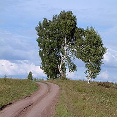 photo "Roads, roads"