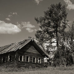 фото "Жизнь ушла"