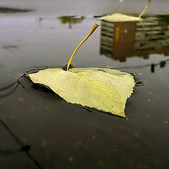 photo "The autumn ships"