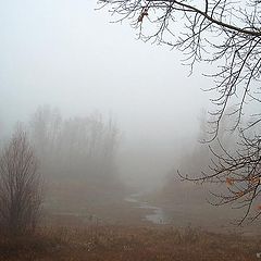 фото "Туман, как часть пейзажа"
