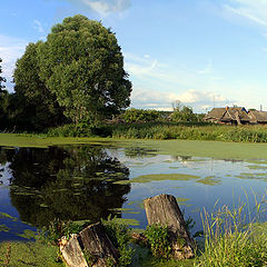 photo "Silent pond"
