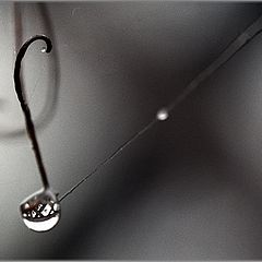 photo "Rain strings"