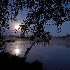 photo "Night Picture with Birches and Fog"