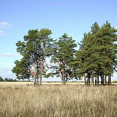 фото "Луговое"