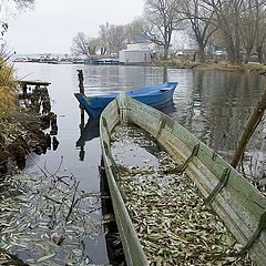 фото "Признаки осени ..."