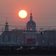 фото "..запуталось в проводах"