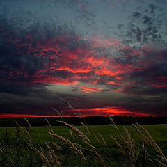 photo "Evening paints."