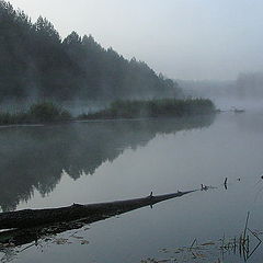 photo "river Viliya"