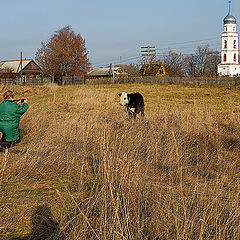 photo "Hunting. A part the first."