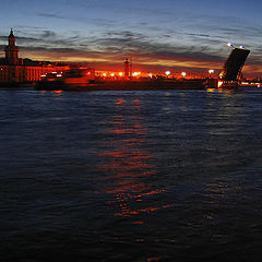 photo "White night"