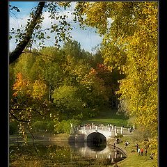 photo "Autumn in Pavlovsk park #4"