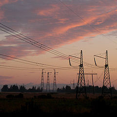 photo "electric sunrise"