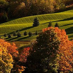 photo "Light and Geometry of October"