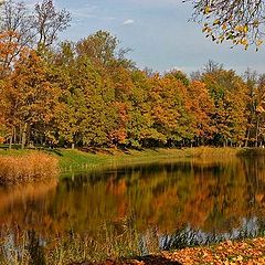 photo "All Colours Of The Autumn"