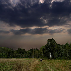 фото "Путники."