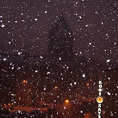 photo "The First Snow!!!"