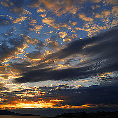 photo "Rise"