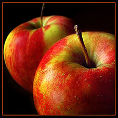 фото "Apples"