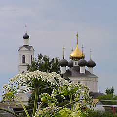 photo "In the cloudy afternoon"