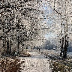 фото "Предзимье"