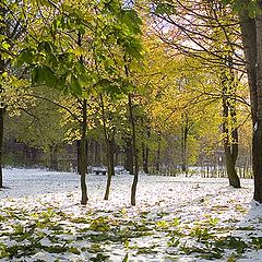 фото "Осенний зимний этюд"