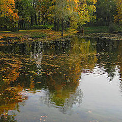 фото "На берегу озера"