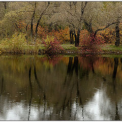 photo "Вiversity of colours"