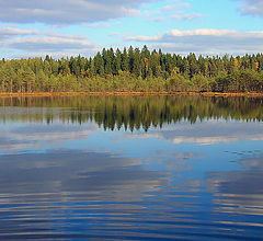 фото "Лесное озеро"