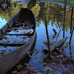 фото "зазеркалье"